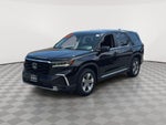 2024 Honda Pilot EX-L 7 Passenger